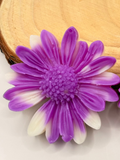 Fondant marguerite