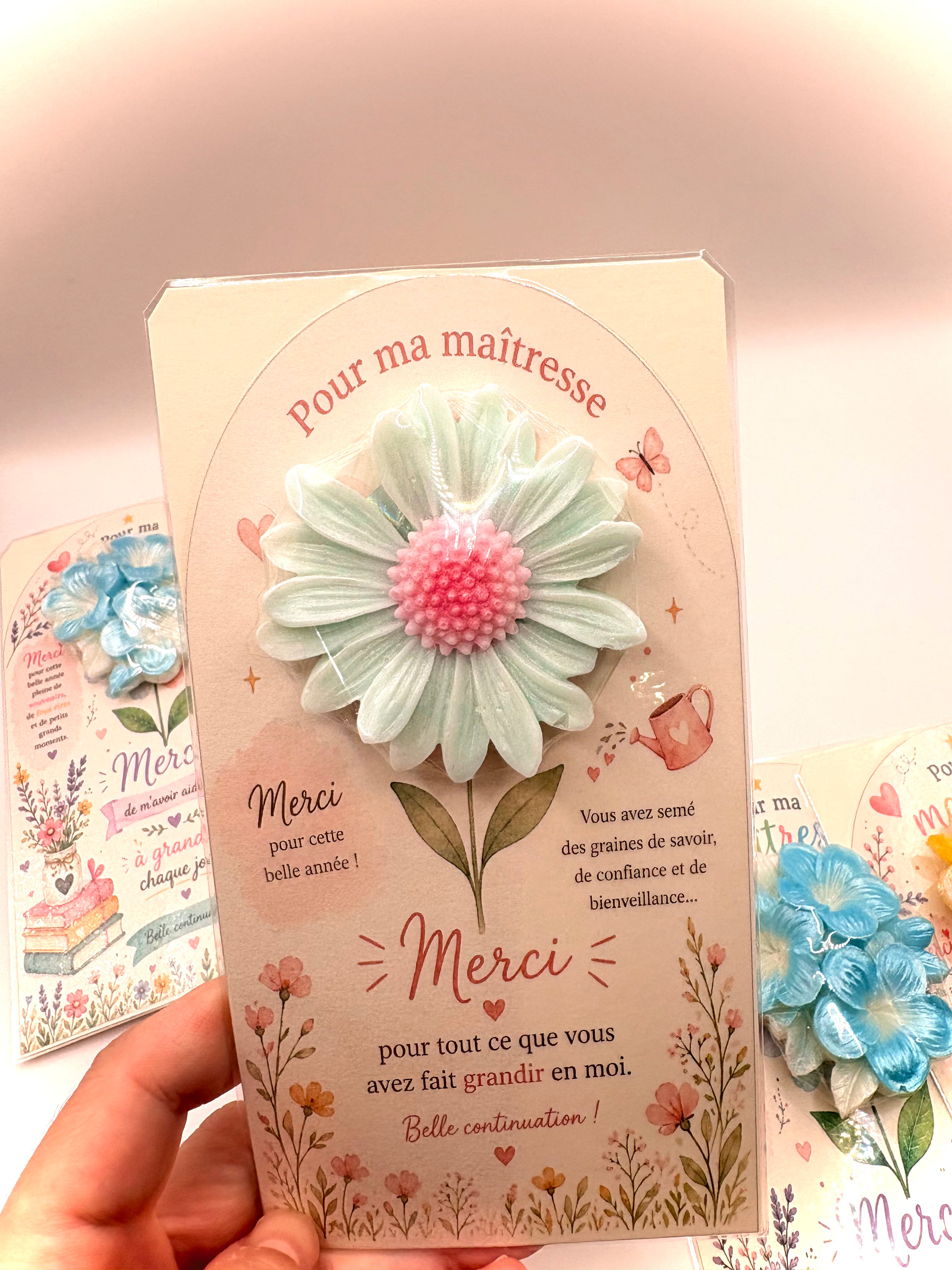 Coffret "merci maîtresse" - Cashmere et soie"
